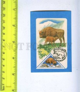 259768 USSR aurochs Advertising philately CALENDAR 1987 year