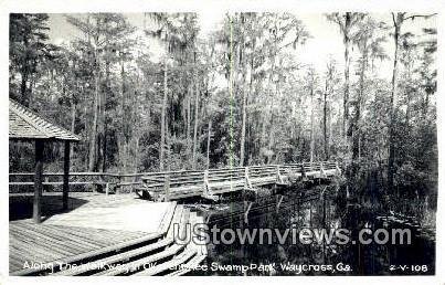 Real photo - Okefenokee Swamp Park - Waycross, Georgia GA