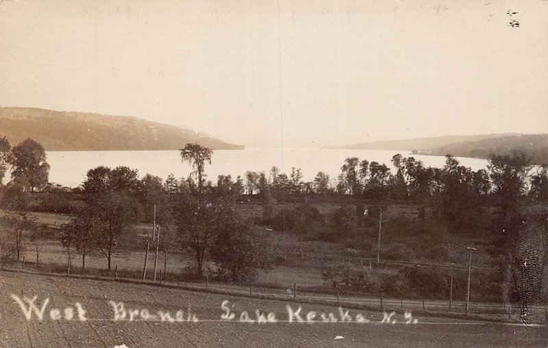 J72/ Lake Keuka New York RPPC Postcard c1910 West Branch Shore  221