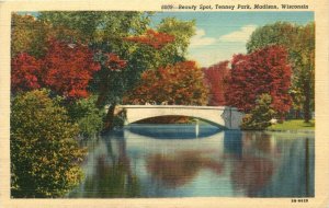 Beauty Spot, Tenney Park, Madison, Wisconsin Vintage Postcard