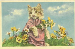 Cute Kitty Cat in Pink Dress Surrounded by Daisies Alfred Mainzer