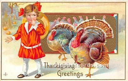  Thanksgiving Greetings Postcard 