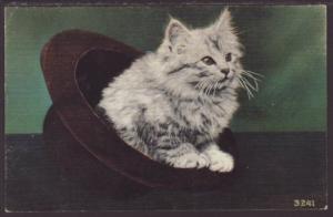 Cat in Hat Postcard 