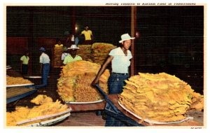 Moving Tobacco to Auction Floor in Tobaccoland