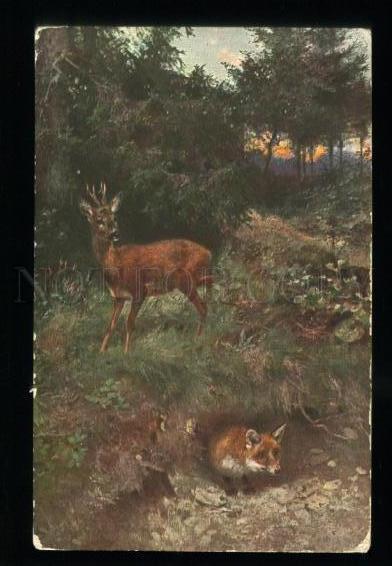 135773 Summer HUNT Deer FOX Vintage color TSN PC