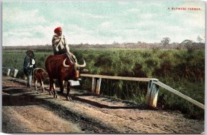 A Burmese Farmer Myanmar Agriculture Postcard