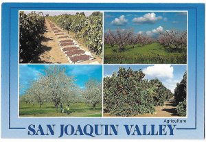 San Joaquin Valley Agriculture Split View California 4 by 6 Size