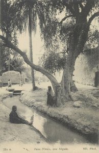 North Africa indigenous scene in the Oasis open-air irrigation canal