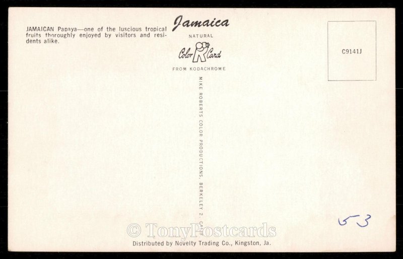 Jamaican Papaya