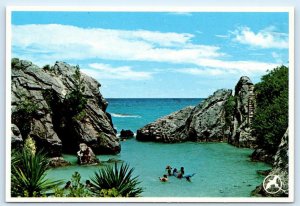 WARWICK, BERMUDA ~ Popular Beach JOBSON'S COVE 4x6 Postcard