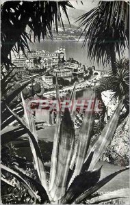 Modern Postcard Monte Carlo and the casino saw the exotic garden