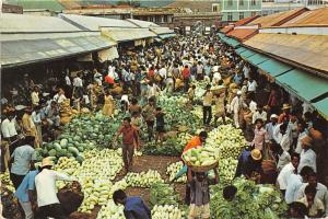 B91243 ile maurice la vente aux encheres au vieux marche de port louis mauritius