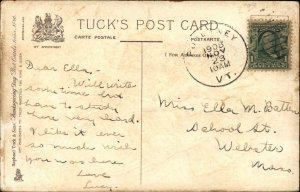 Thanksgiving TUCK Turkey in Tie Cranberries Embossed c1900-20s Vintage Postcard