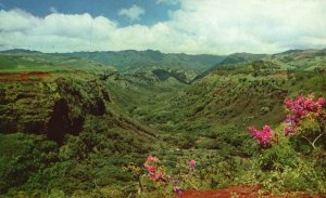 Vintage Postcard Hanapepe Rugged  Valley Lush Mountains Kauai Stream Hawaii HI
