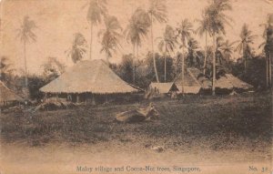 MALAY VILLAGE AND COCOA-NUT TREES SINGAPORE ASIA POSTCARD (c. 1910)