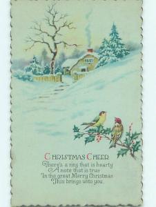 Pre-Linen christmas CUTE BIRDS ON HOLLY BRANCH OUTSIDE SNOW-COVERED HOUSE hr2807