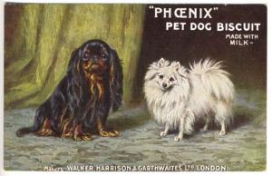Phoenix Pet Dog Biscuit Made With Milk Walker, Harrison London Advert. Postcard