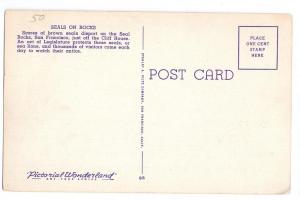 San Francisco Seals on Rocks Piltz Linen Postcard