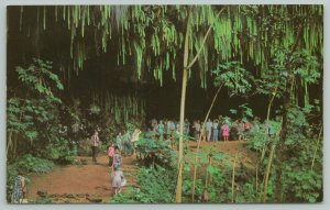 Kauai Hawaii~Fern Grotto~Standard Chrome Postcard