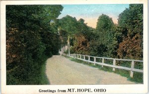 1950s Greetings from MT. Hope Ohio Amish Country Postcard A1 