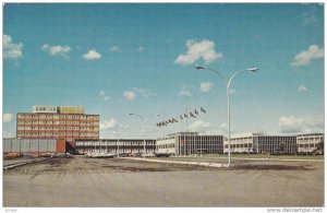 Northern Alberta Institute of Technology , EDMONTON , Alberta , Canada , 40-60s