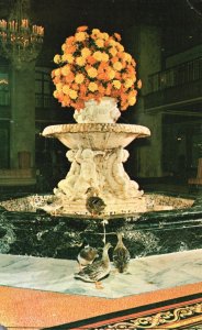 Vintage Postcard Sheraton Peabody Hotel Fountain & Ducks Memphis Tennessee TN