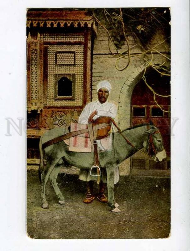 261232 EGYPT CAIRO Donkey boy Vintage Lichtenstern & Harari PC