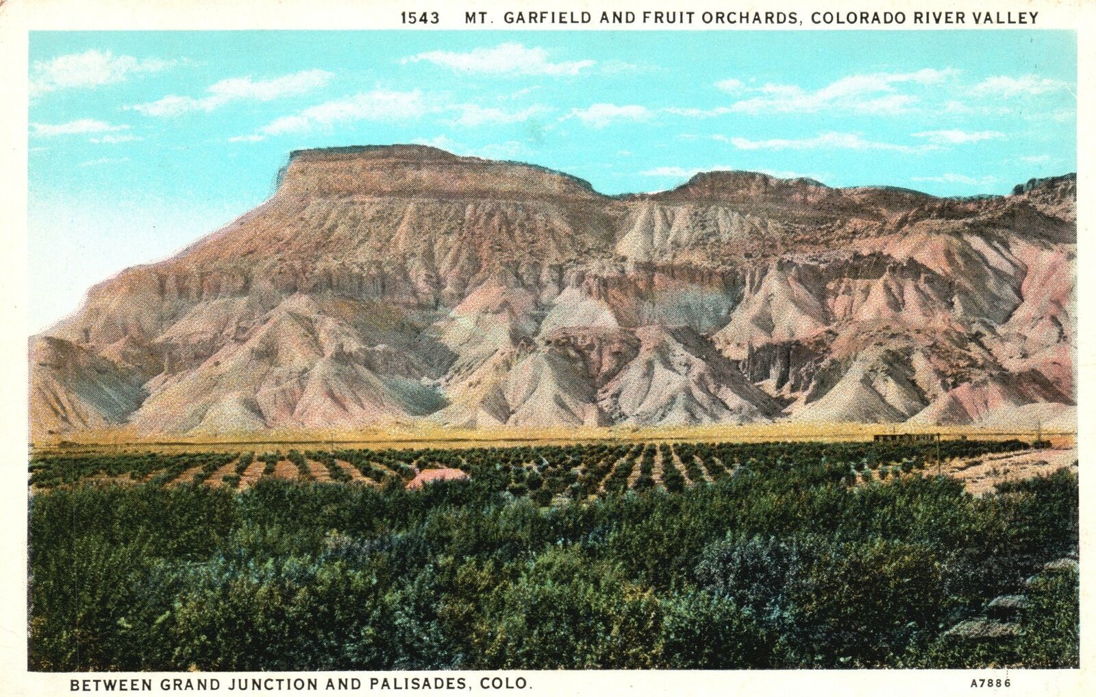Vintage Postcard Mt. Garfield & Fruit Orchards Colorado River Valley