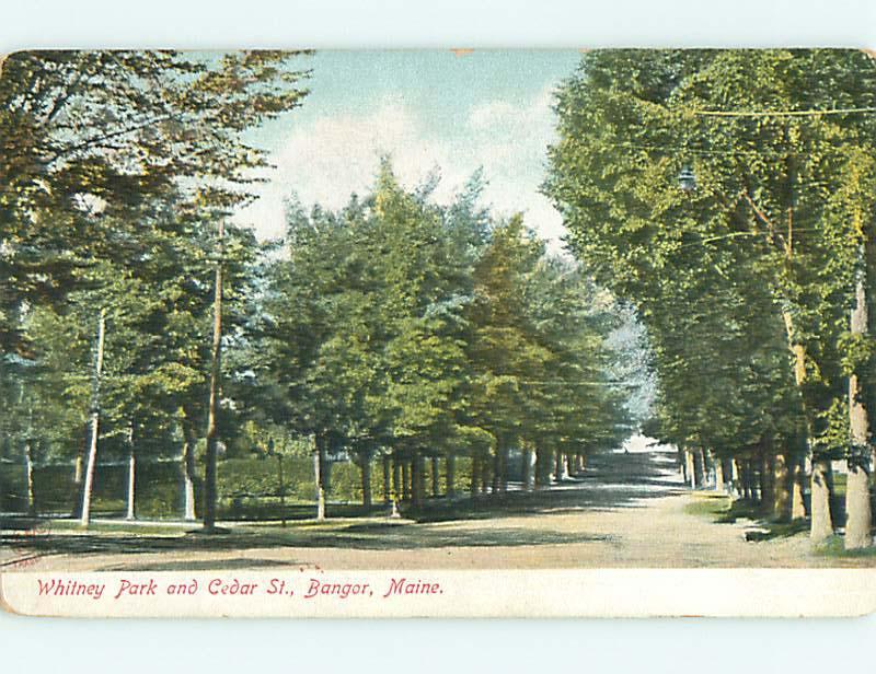 Unused Pre-1907 PARK SCENE Bangor Maine ME r7514