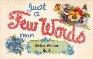 C84/ Cedar Manor Long Island New York NY Postcard Greetings Few Words
