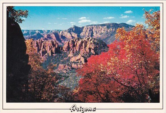 Arizona Oak Creek Canyon View From Schnebly Hill