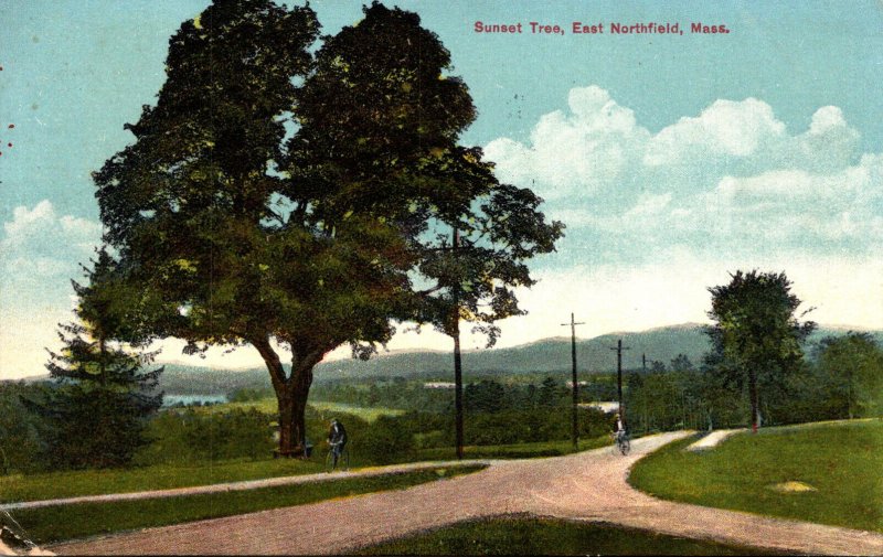 Massachusetts East Northfield The Sunset Tree 1914