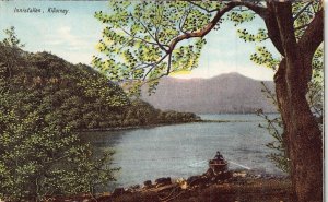 KILLARNEY IRELAND~INNISFALLEN~L ANTHONY PUBLISHED POSTCARD