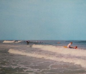 Rehoboth Beach Delaware Postcard Riding The Breakers Surfers Atlantic Ocean Surf