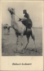 Cairo Egypt Bedouin du Desert Native Man on Camel Vintage Real Photo Postcard