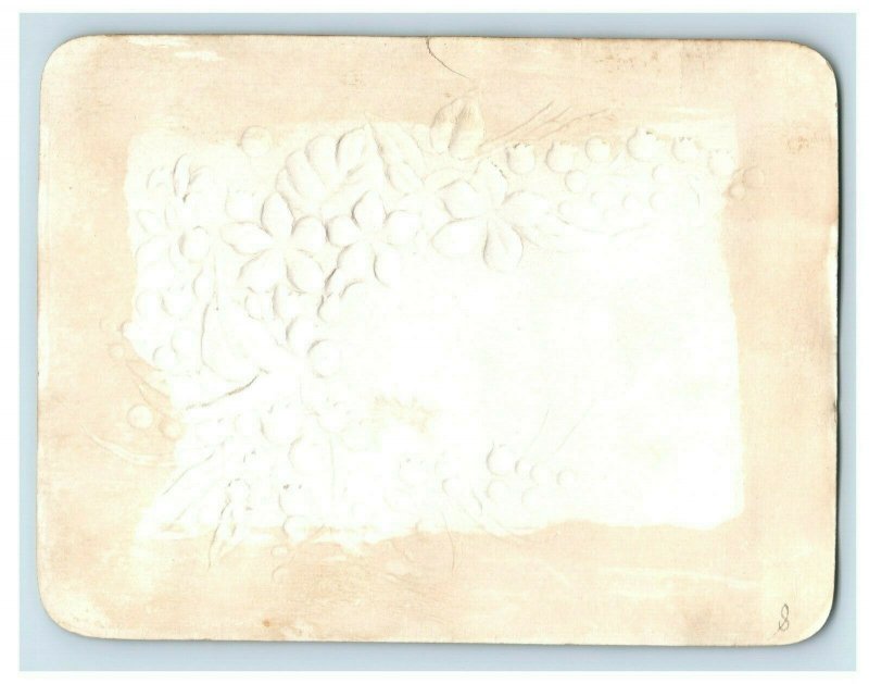 1880's Adorable Baby Flower Bed Birthday Poem Embossed Victorian Card #2 P142