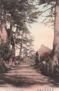 Postcard View of Yamazaki Hakone Japan