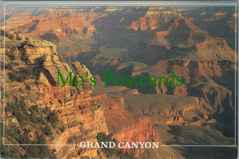 America Postcard - The Grand Canyon National Park, Arizona. Posted 1990 -RR14858