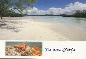 BF13350 ile maurice mauritius ile aux cerfs   front/back image