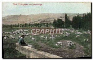 Old Postcard Herd On Pasture Shepherd and sheep