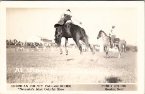 Gordon NE Sheridan Co Fair and Rodeo AL WILKINSON on OLD SETTLER Postcard Y1