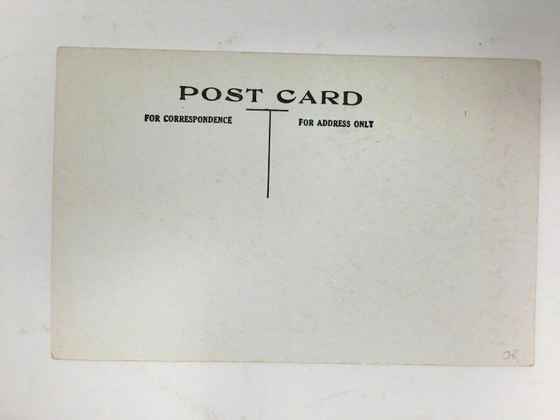 Early Blue Sea Lake Quebec Canada Postcard It's Lonesome to be Alone in Swing