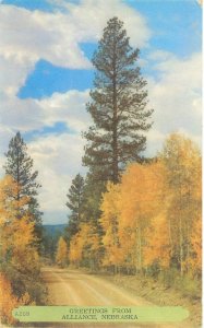 Greetings from Alliance Nebraska, Trees in Fall Colors Chrome Postcard Unused