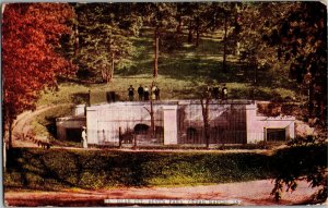 View Overlooking Bear Pit Bever Park Cedar Rapids IA c1909 Vintage Postcard C13