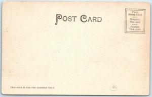 SPRINGFIELD, Massachusetts MA   RUSTIC PAVILION Forest Park 1904 Postcard