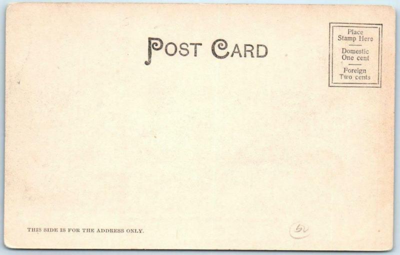 SPRINGFIELD, Massachusetts MA   RUSTIC PAVILION Forest Park 1904 Postcard