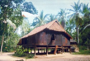 VINTAGE CONTINENTAL SIZE POSTCARD A KAMPONG HOUSE MALAYSIA MAILED 1985