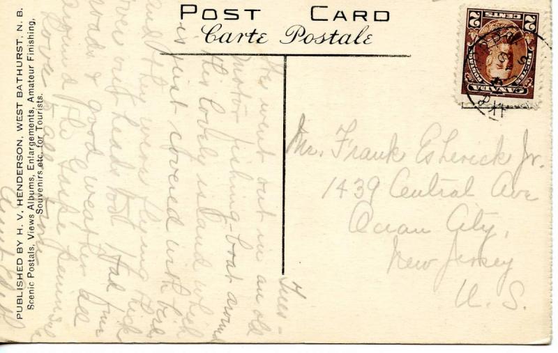 Canada - Quebec. Bonaventure Island, Birds