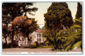 c1910 Algiers - Mustapha Museum of Antiquities Algeria Unposted Postcard 