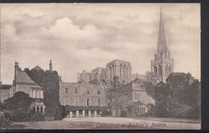 Sussex Postcard - Chichester Cathedral & Bishop's Palace    RS3260